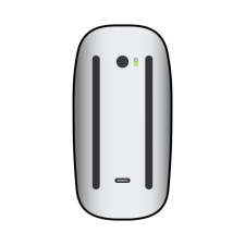 Apple Magic Mouse 2 / USB Tipo-C / Plata