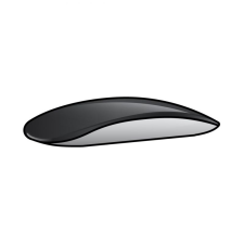 Apple Magic Mouse 2 / USB Tipo-C / Negro