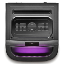 Altavoz Portable con Bluetooth NGS Wild Space 2/ 2000W