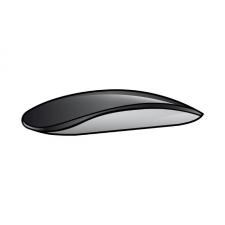 Apple Magic Mouse 2 Gris Espacial