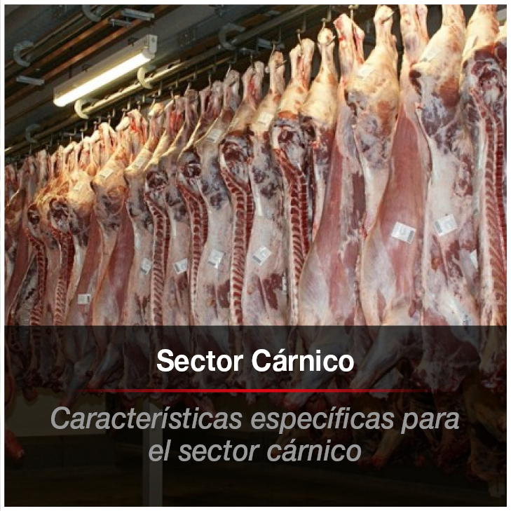 350x350px Banners Web MRP COMPUTER_tgSector_Comercio17.jpg