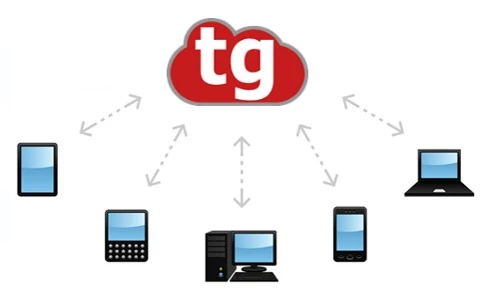 tgProfesional 12: ERP completo de gestión y contabilidad preparado para Verifactu 7 Ilustración de tgProfesional conectado con ordenadores, tabletas y móviles